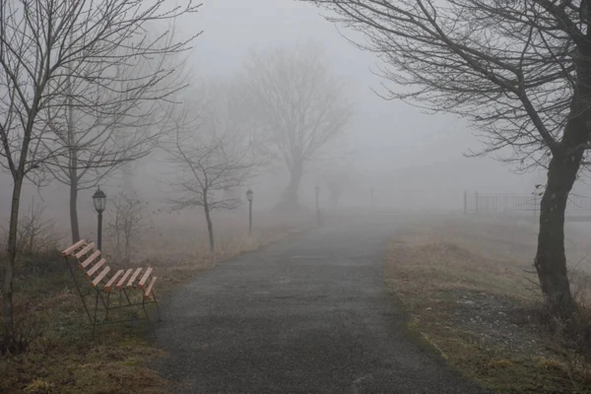 Фото: depositphotos.com