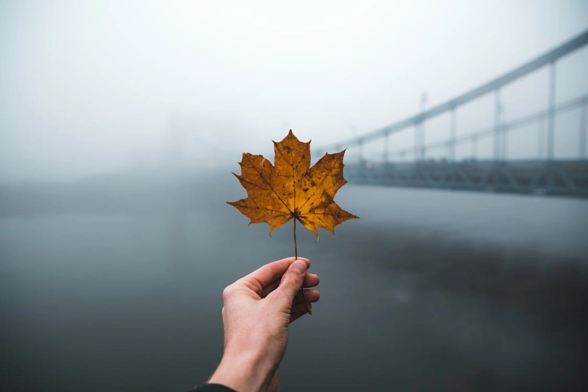 Фото: Pexels