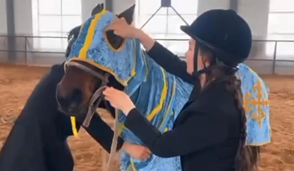 Фото: скриншот видео