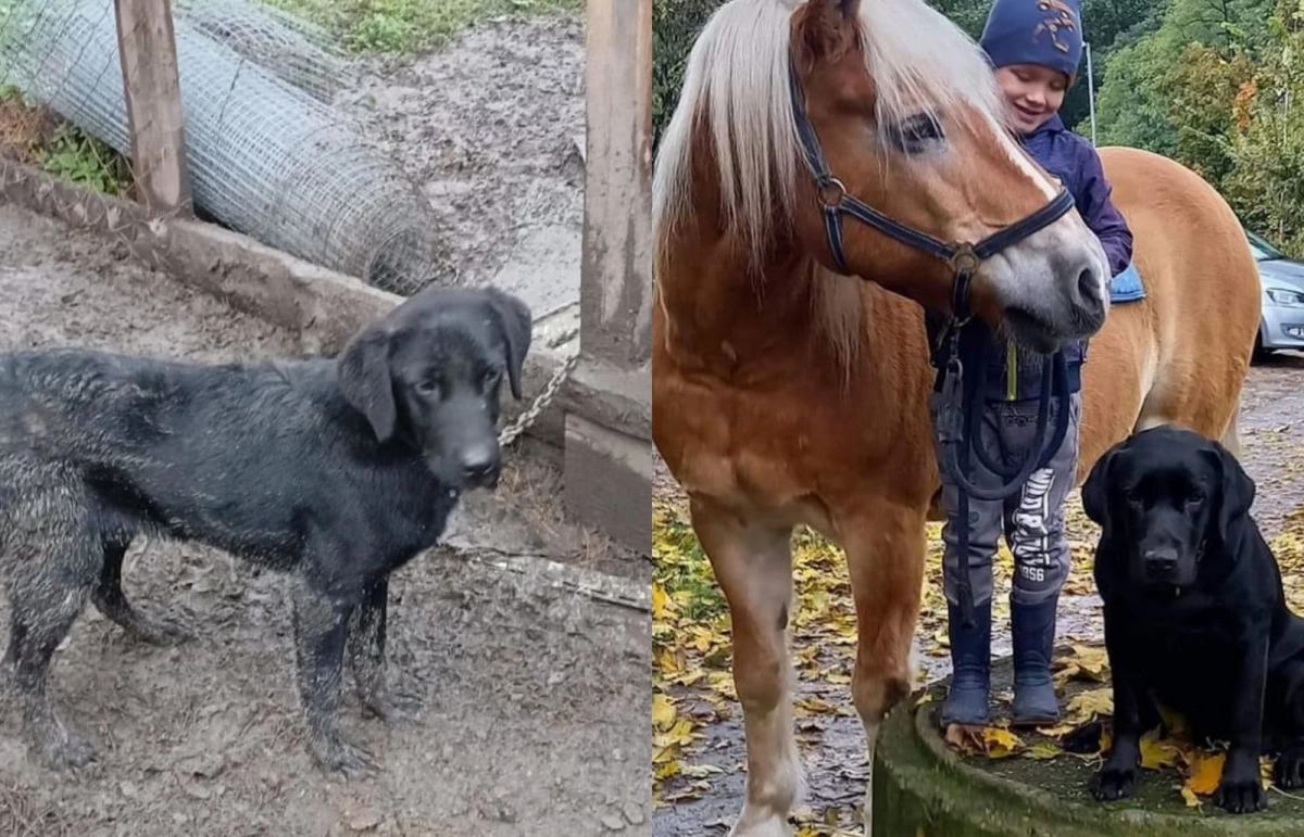 Фото: YK-news.kz