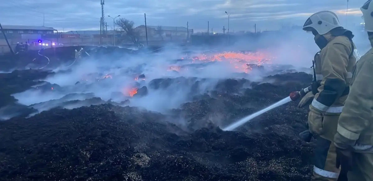 Фото: ДЧС области Абай
