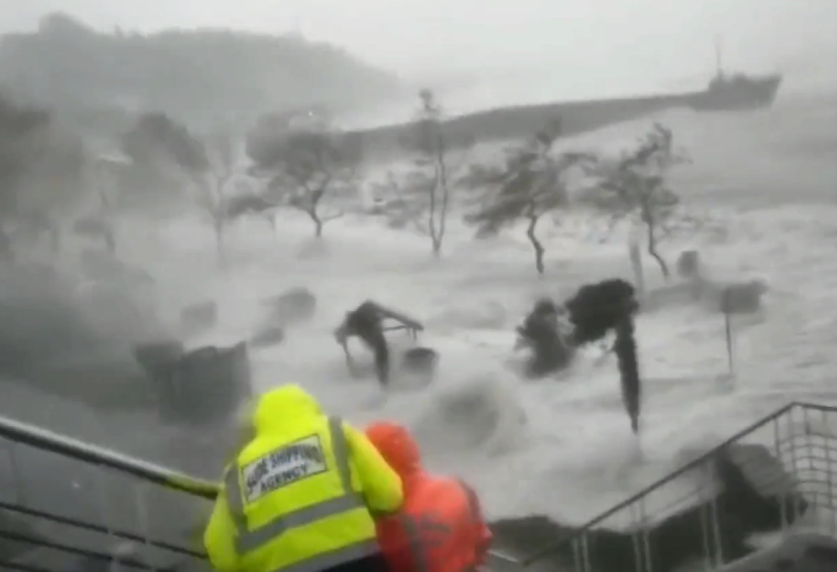 Кадр из видео