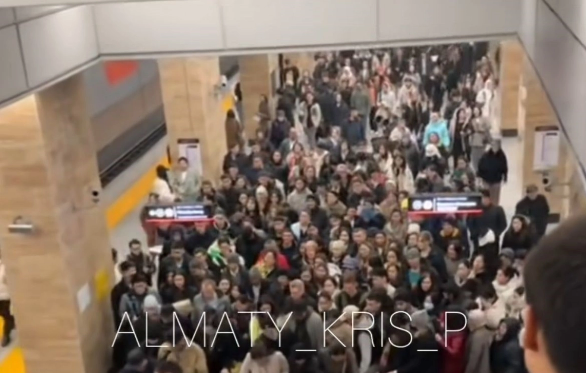 Фото: скриншот из видео