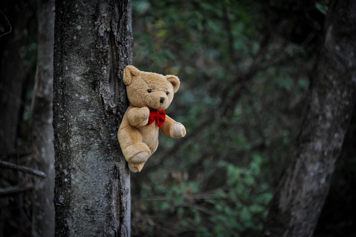 Фото: unsplash.com