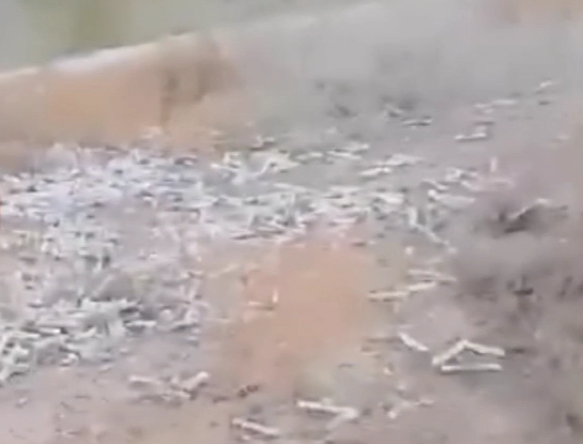 Кадр из видео/ КТК