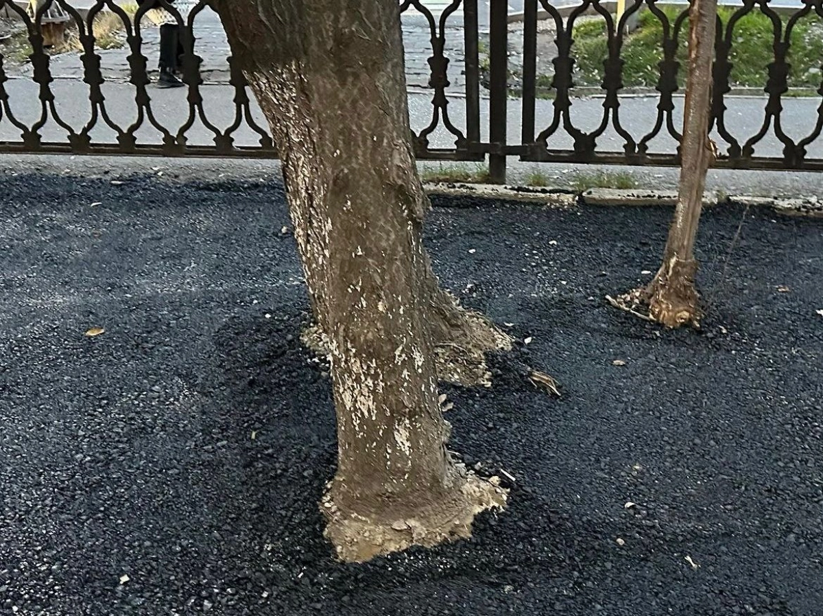 Фото: Instagram/@elitar.kz