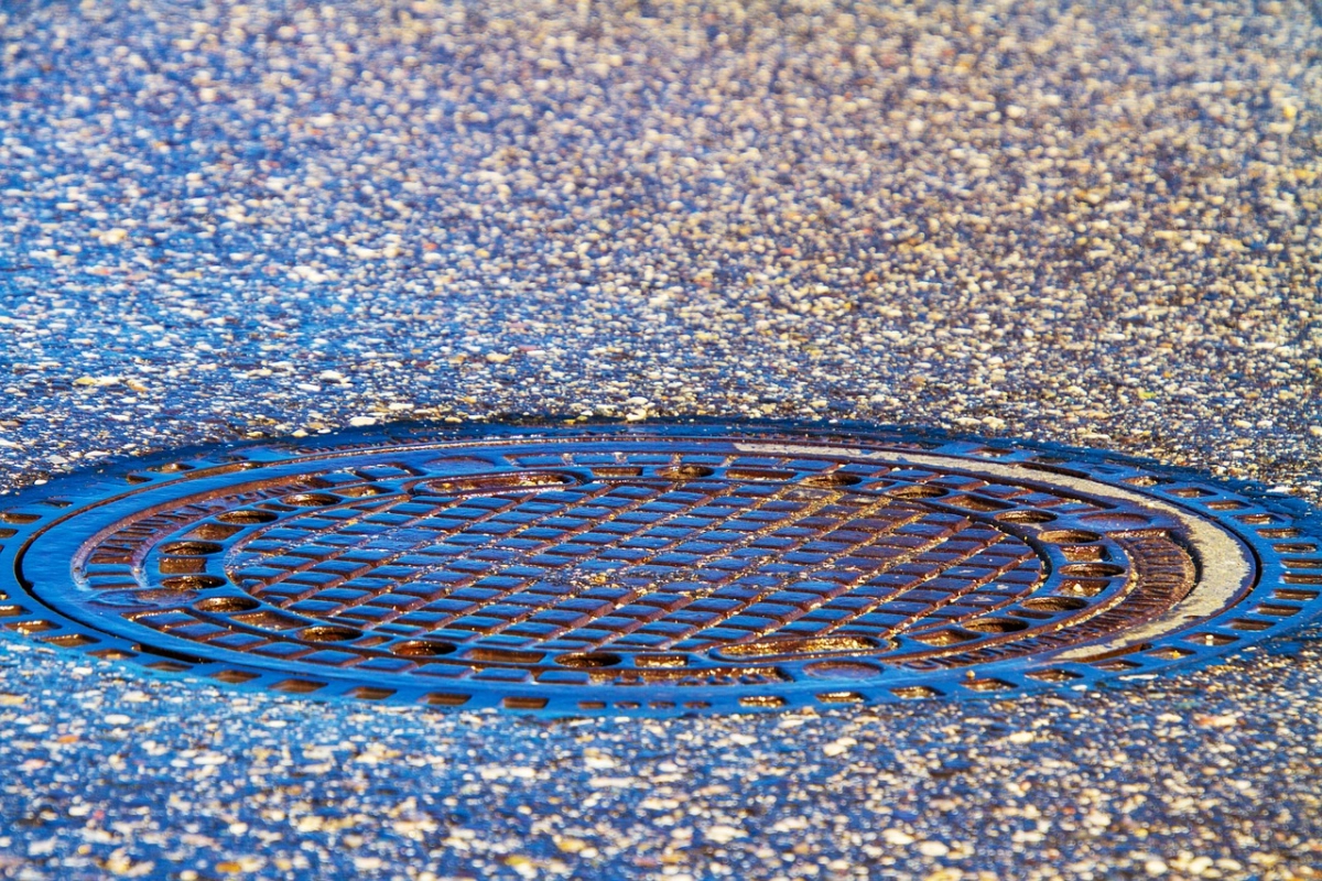Фото: pixabay.com