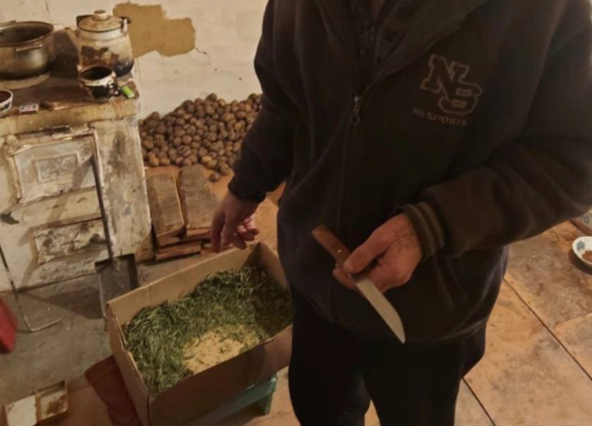 Фото: Polisia.kz