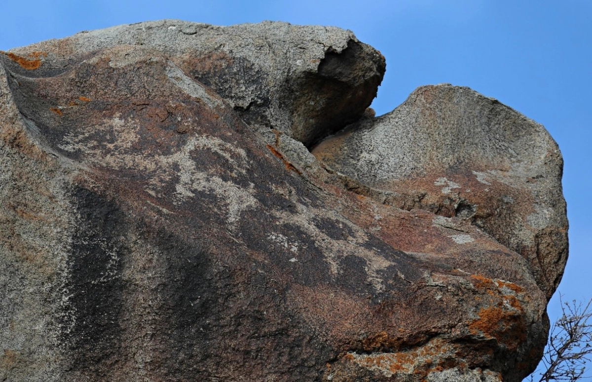 Фото: Facebook/Ольга Гумирова