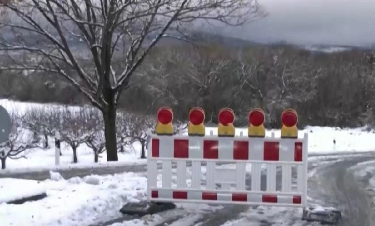 Фото: скриншот из видео