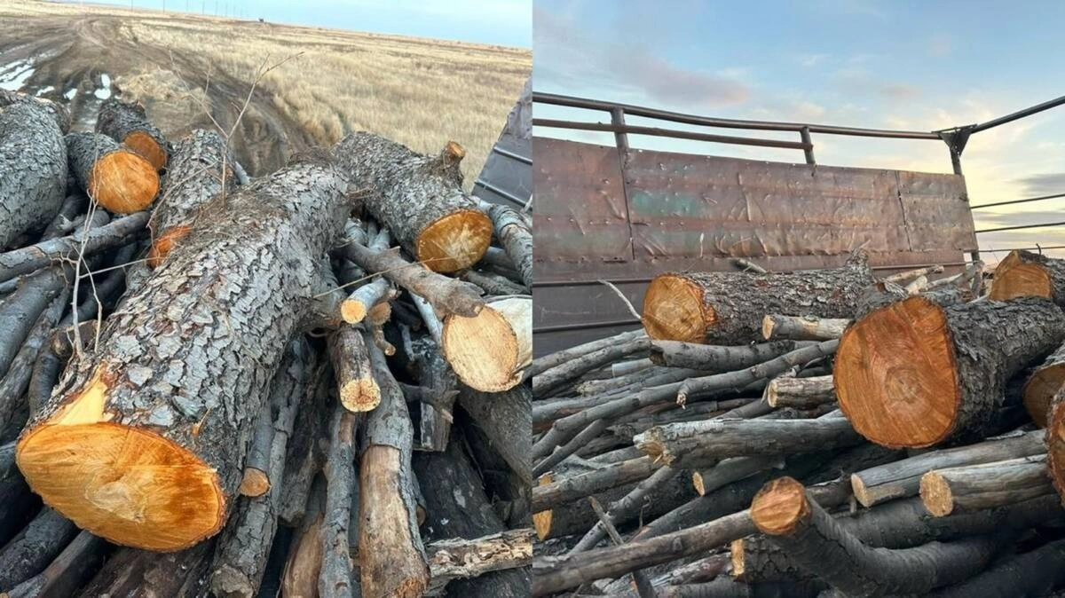 Фото: Polisia.kz