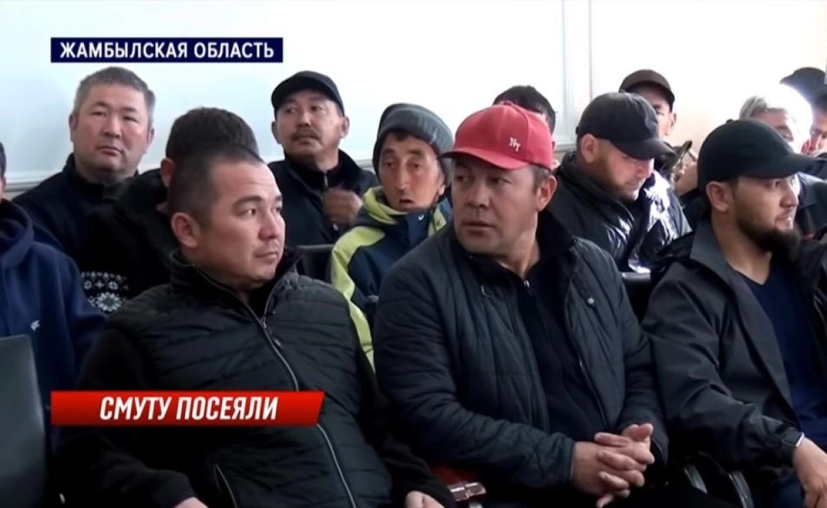 Фото: скриншот из видео