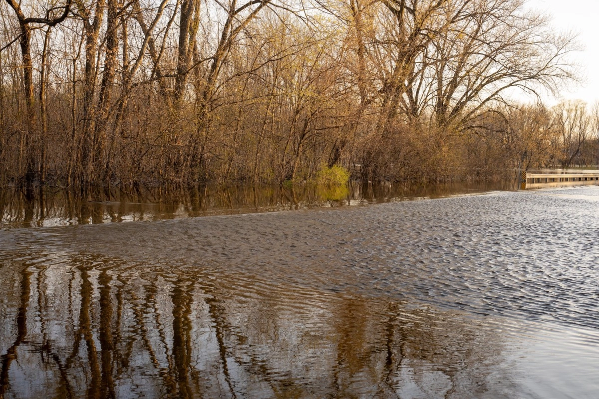 Фото: Pexels.com