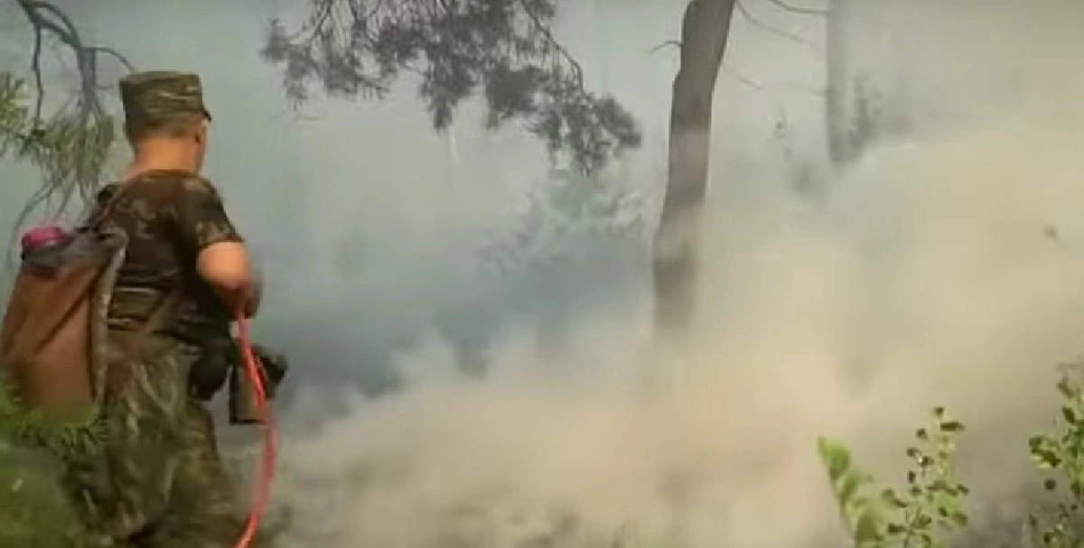 Фото: скриншот из видео