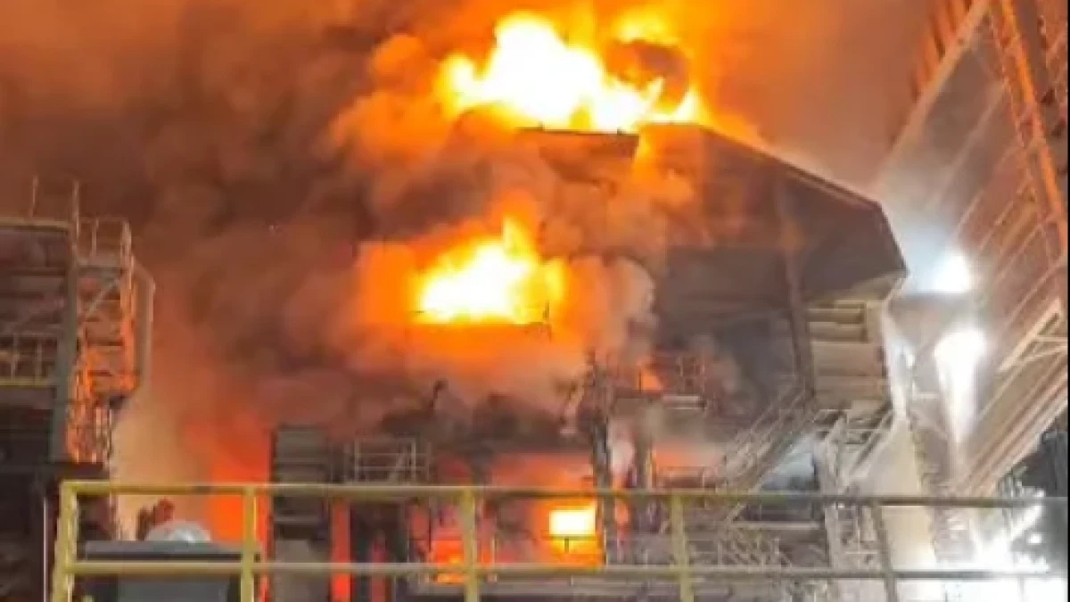 Фото: haberglobal.com.tr