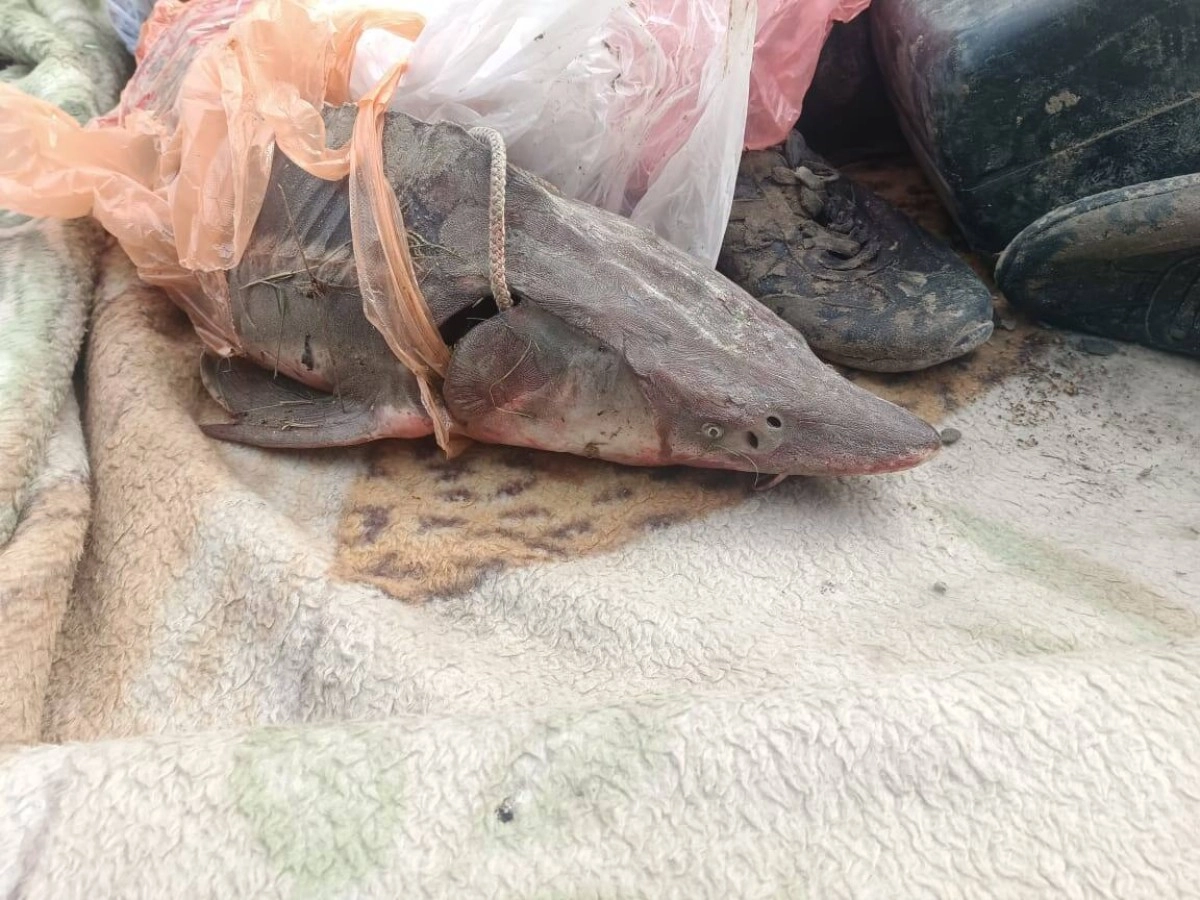 Фото: Polisia.kz