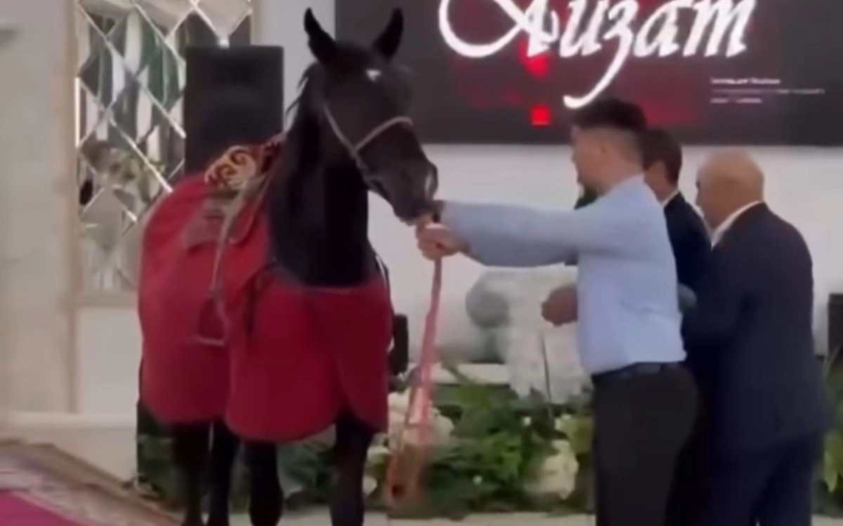 Фото: скриншот из видео