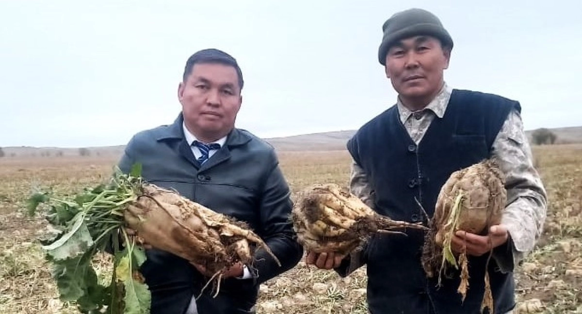 Фото: пресс-служба акима области Жетысу