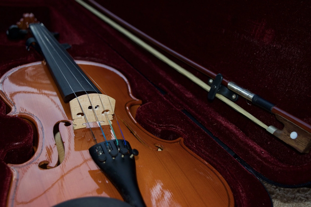 Фото: pixabay.com