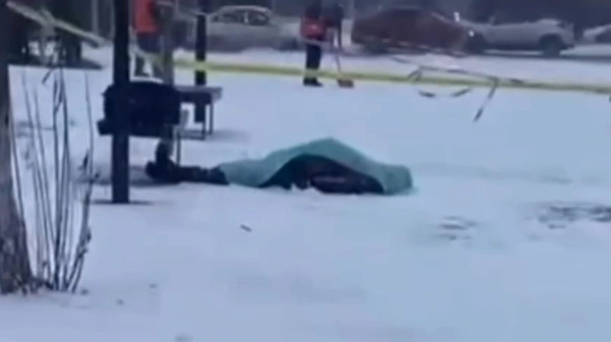 Фото: скриншот из видео