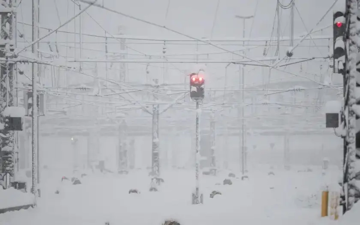 Фото: Lukas Barth/dpa