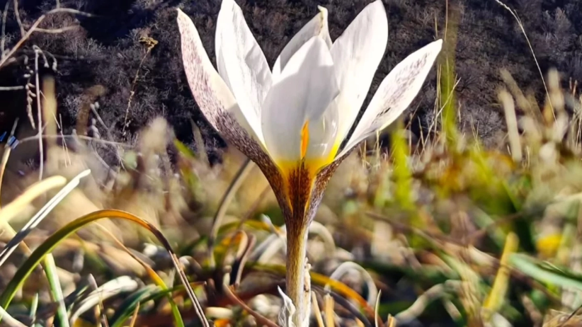 Фото: instagram.com/dots_foto