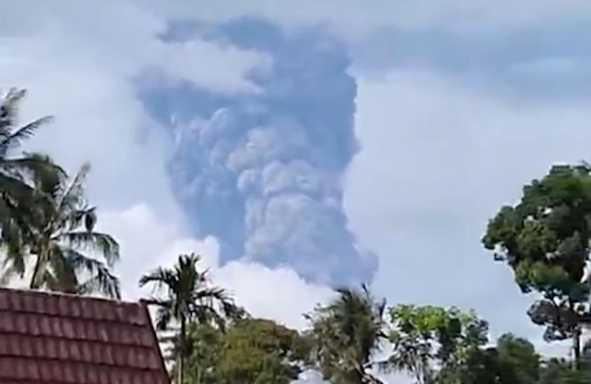 Фото: скриншот из видео