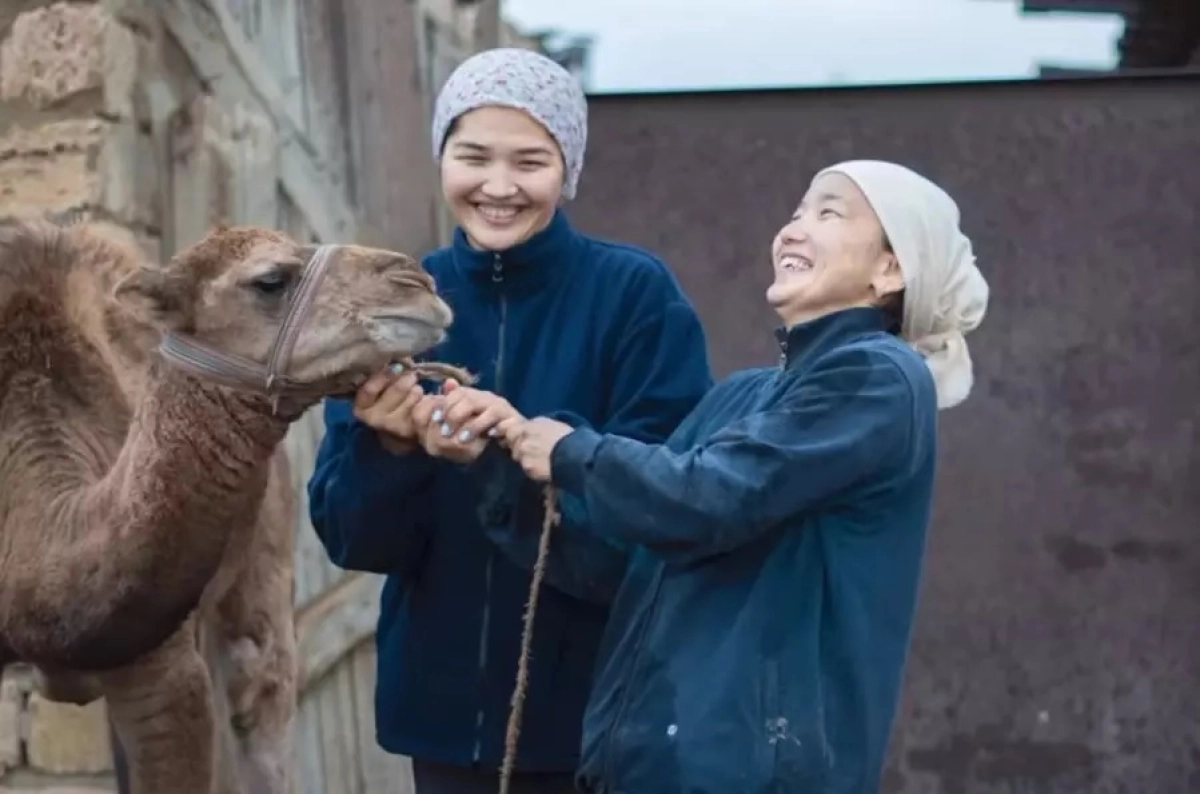 Фото: видеодан алынған кадр