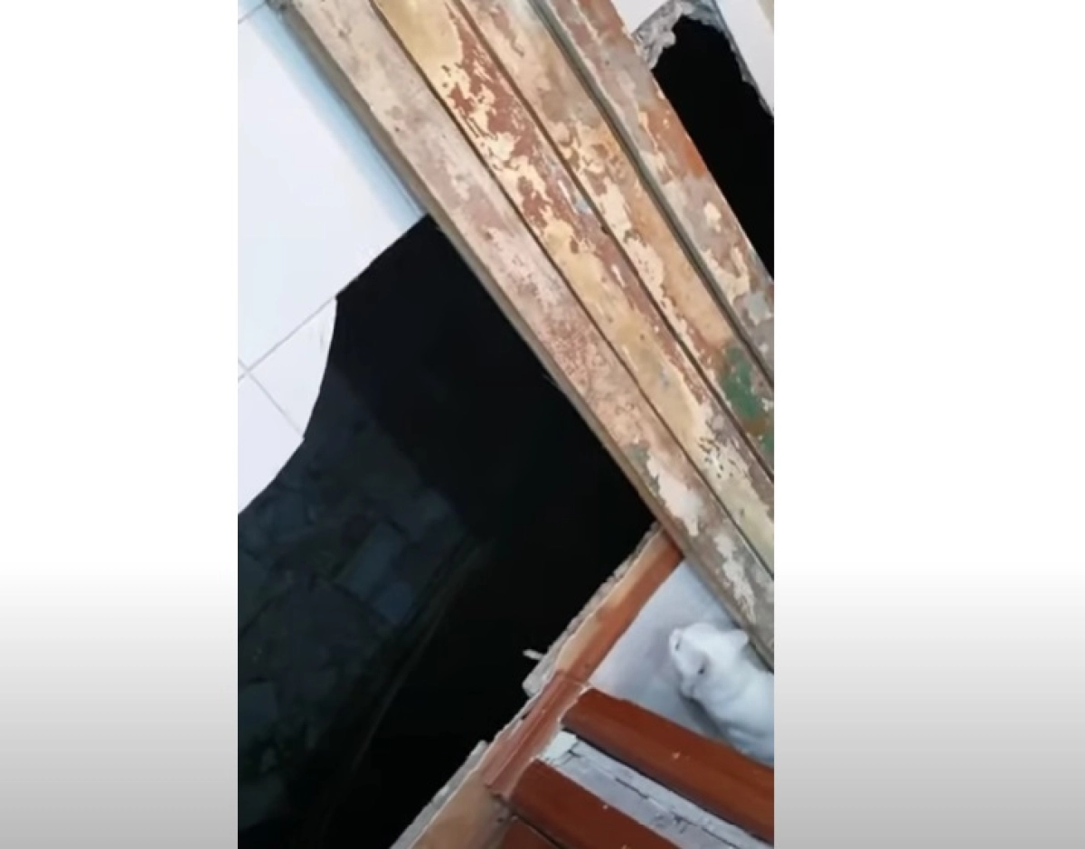 Фото: скриншот из видео