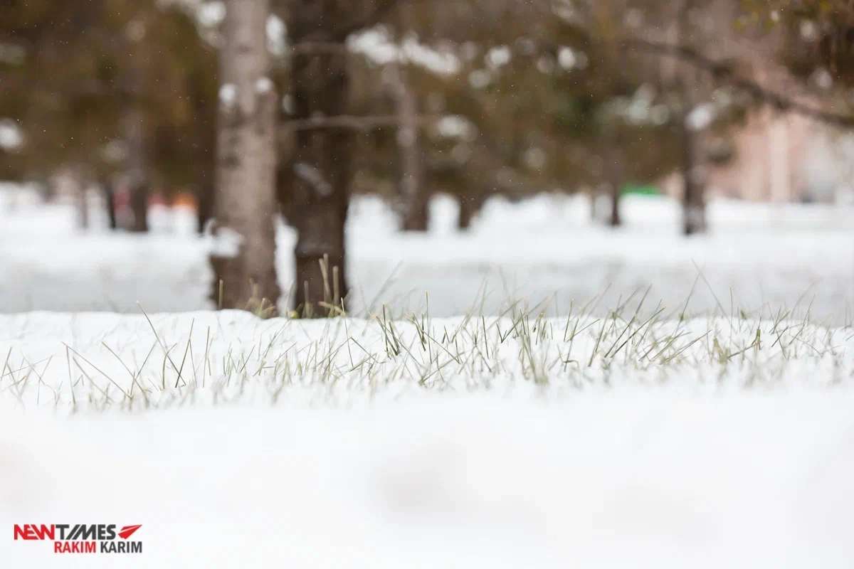 Фото: NewTimes.kz