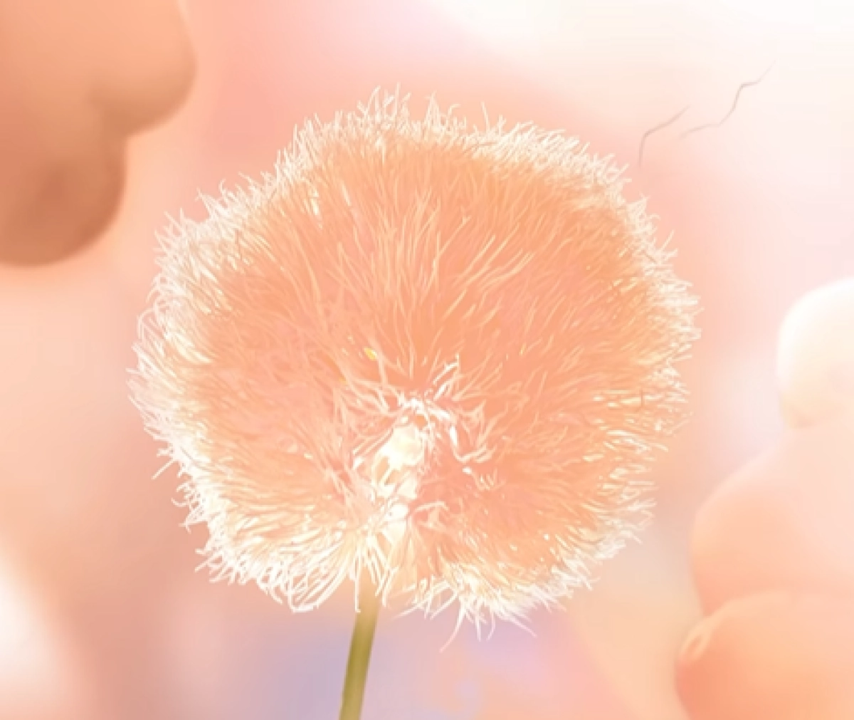 Фото: Instagram / @pantone