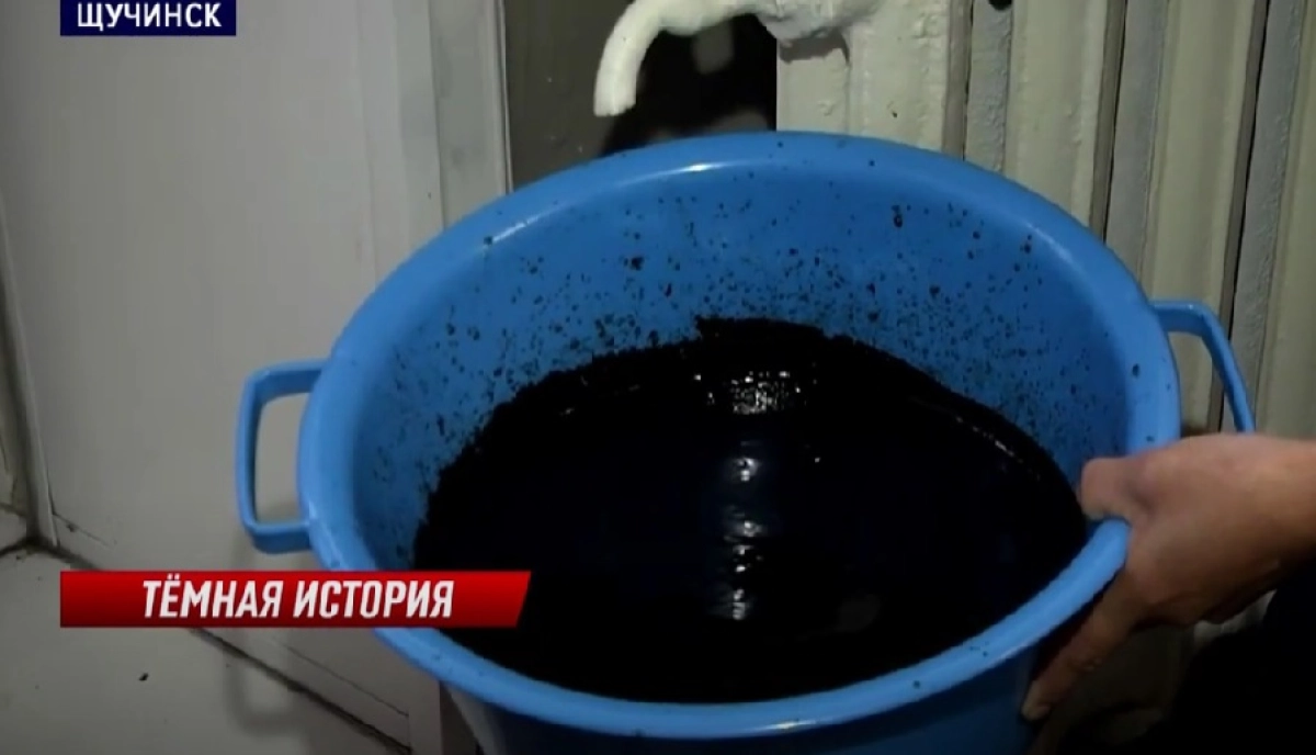 Фото: скриншот из видео