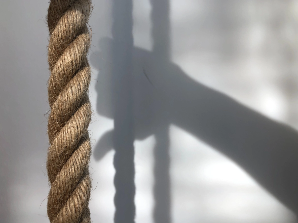 Фото: unsplash