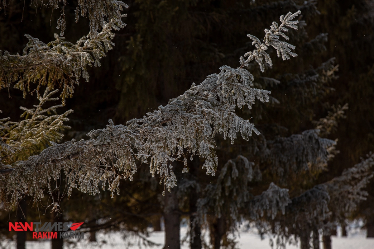 Фото: ИА «NewTimes.kz»