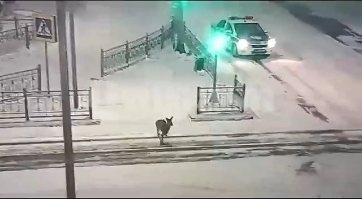 Кадр видео
