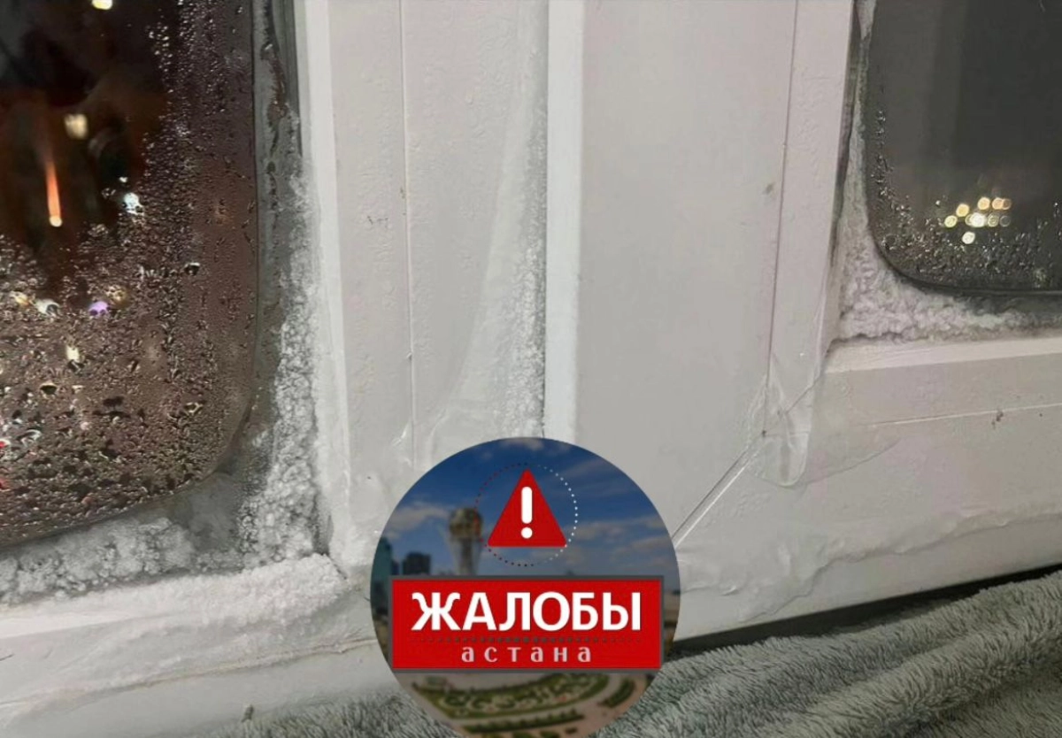 Фото: сообщество «Zhaloby.astana»