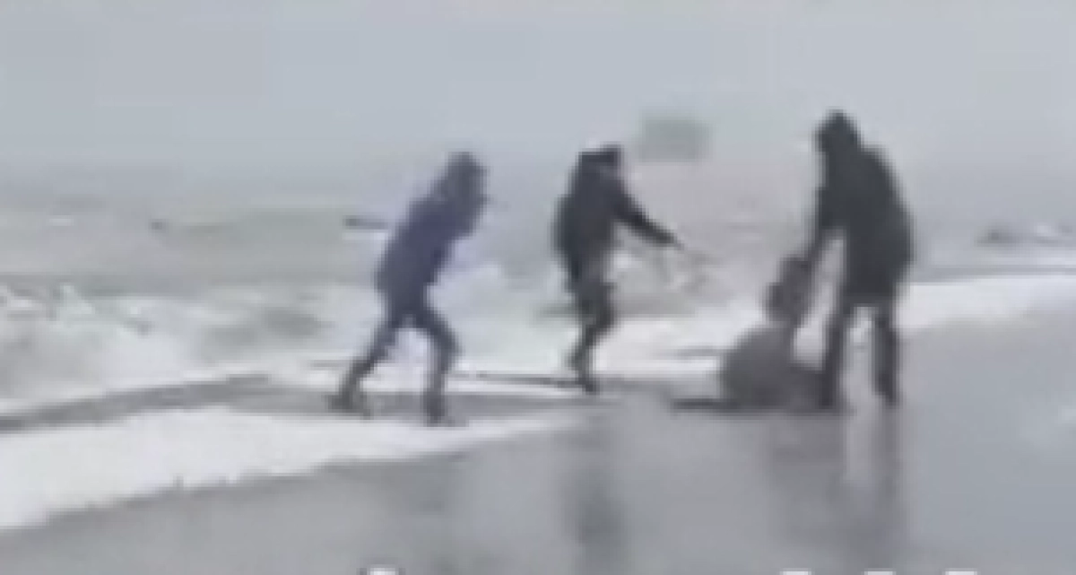 Кадр из видео