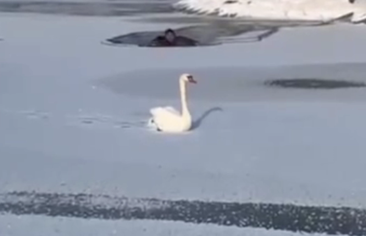 Фото: МЧС РК