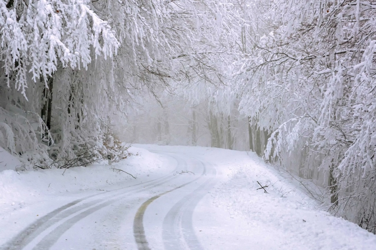 Фото: pixabay.com