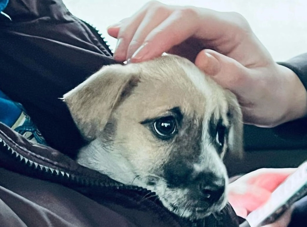 Фото: Instagram.com/@hctomiris