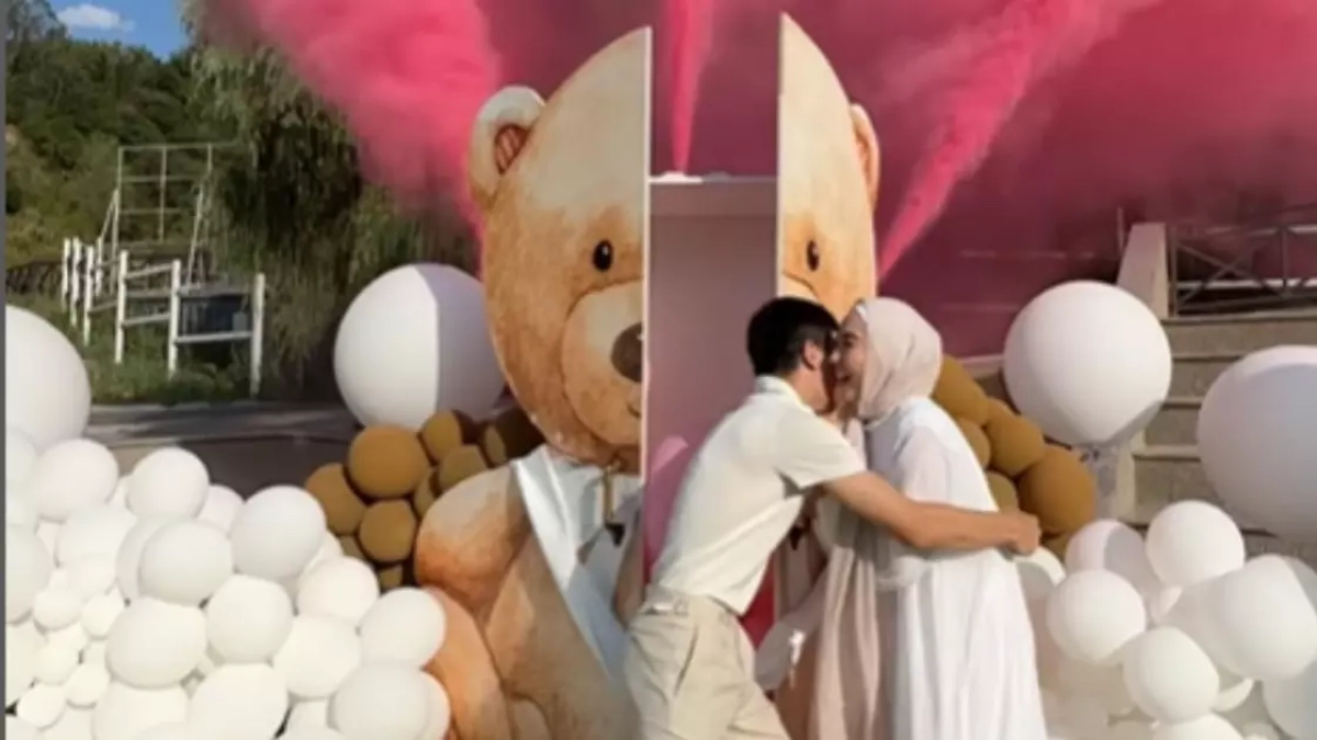 Фото: видеодан кадр