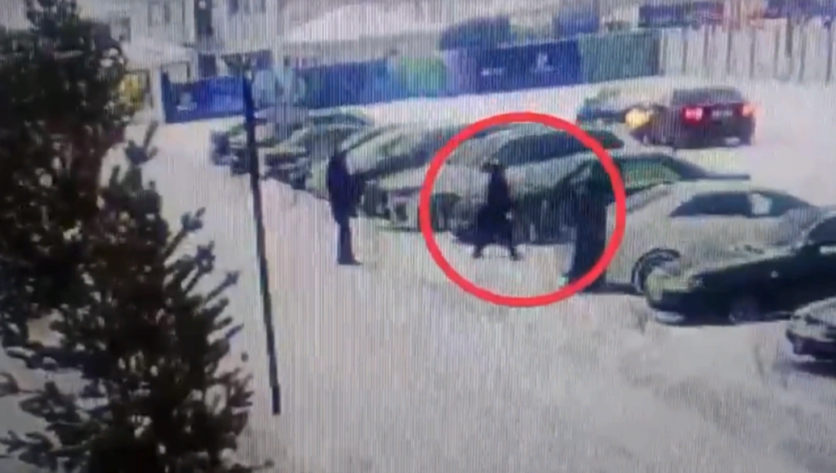 Фото: кадр из видео