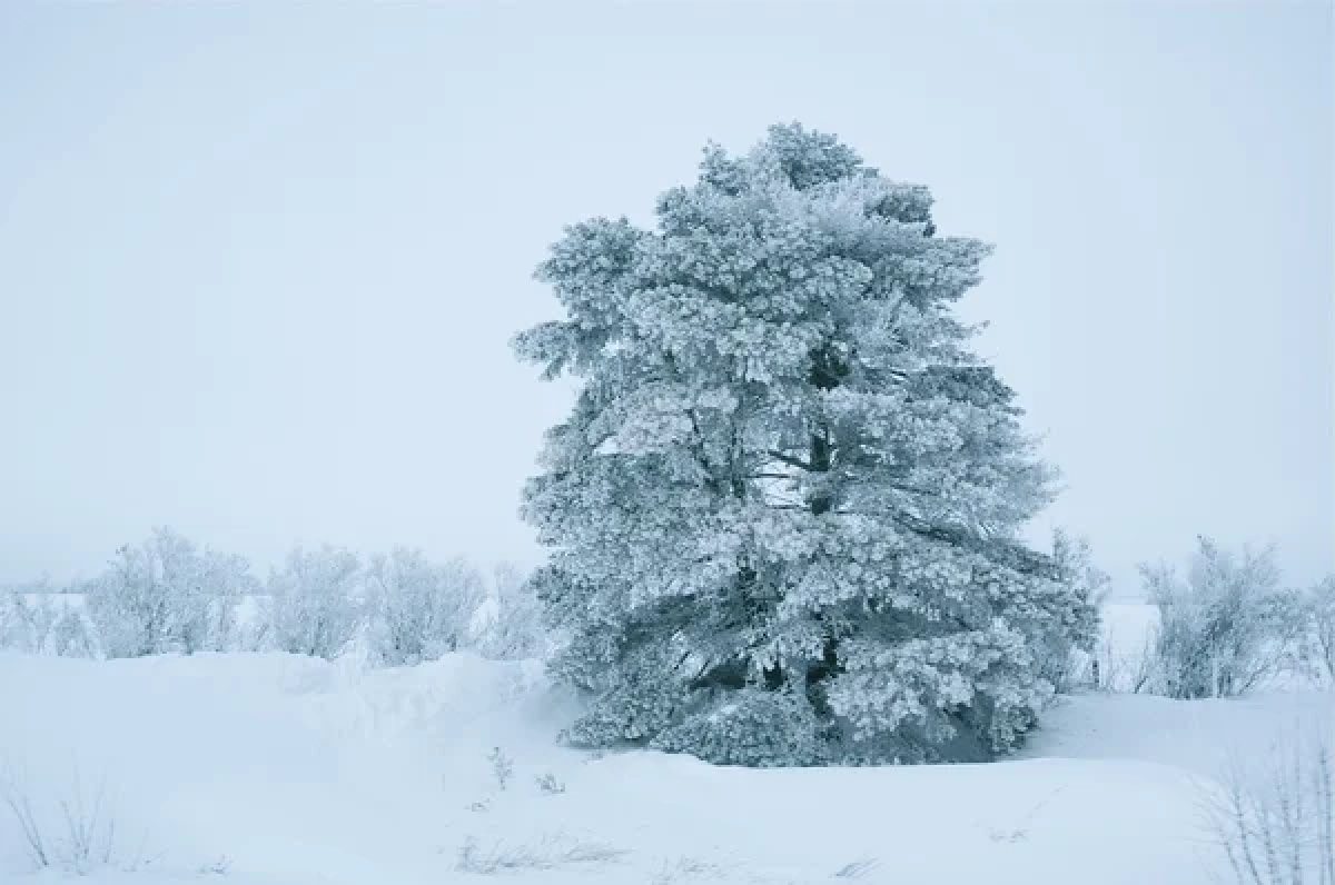 Фото: depositphotos.com