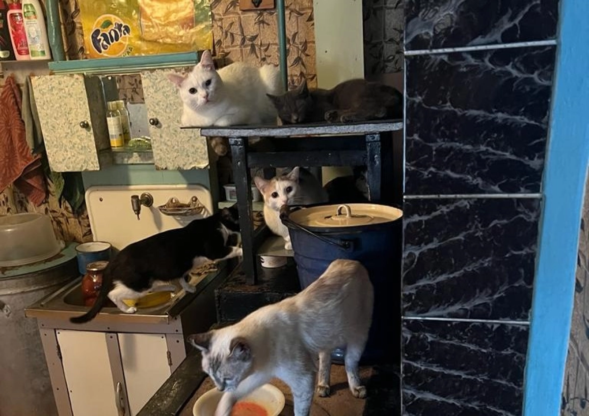 Фото автора