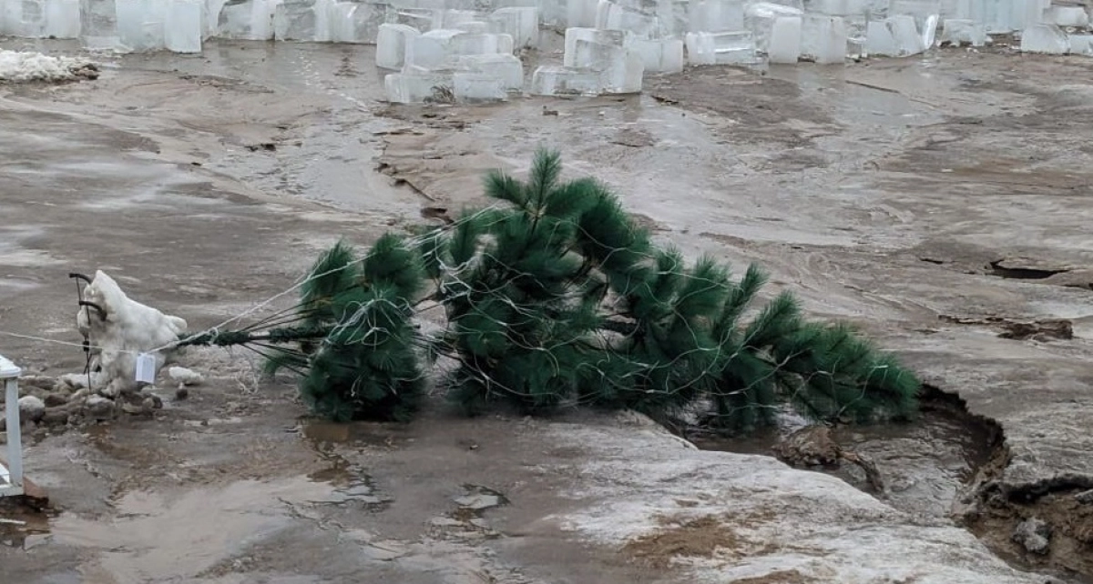 Фото: Telegram-канал Qumash