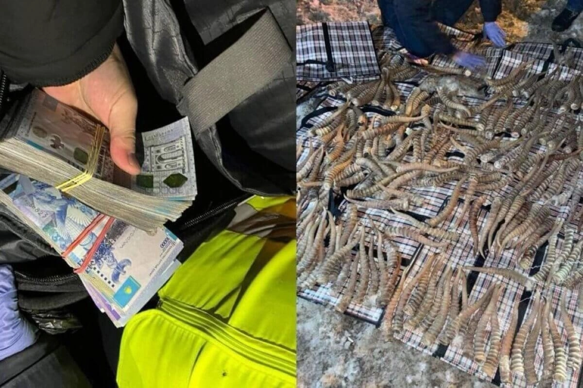 Фото:  Polisia.kz