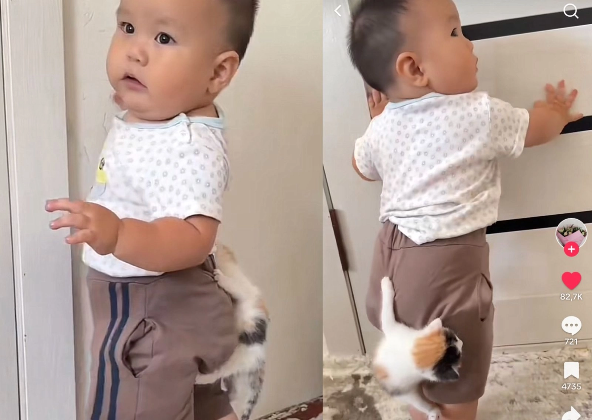 Фото: кадр из видео