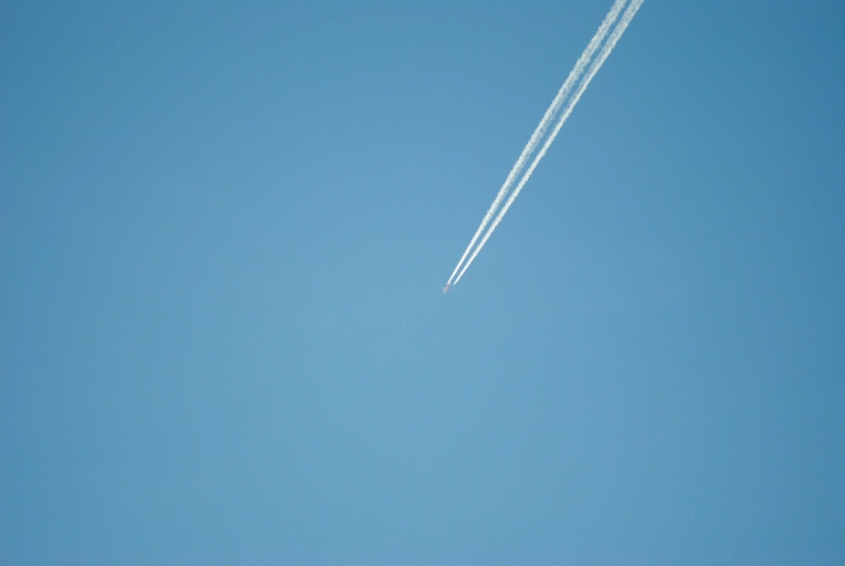 Фото: pixabay.com