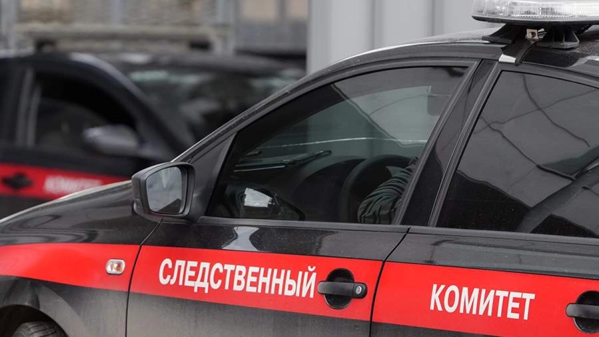 Фото: ИЗВЕСТИЯ/Дмитрий Коротаев