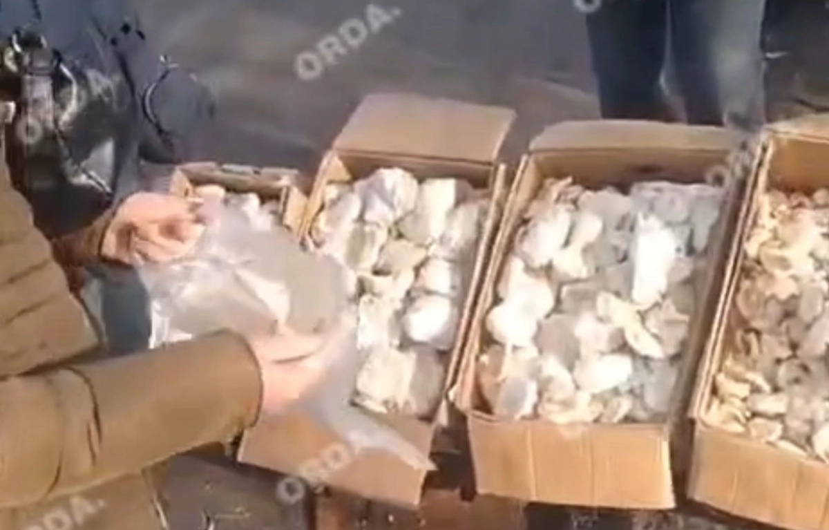 Фото: скриншот из видео